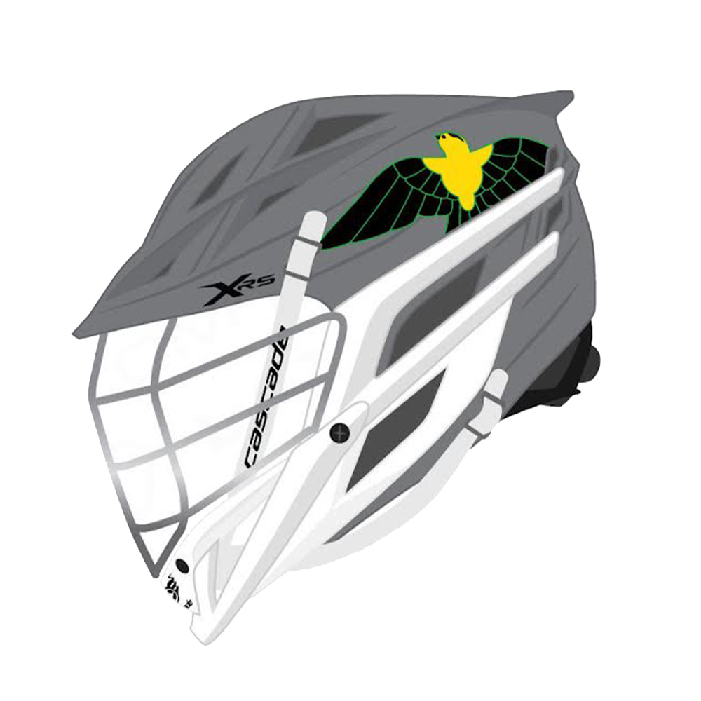 Custom Cascade XRS Garden State Helmet